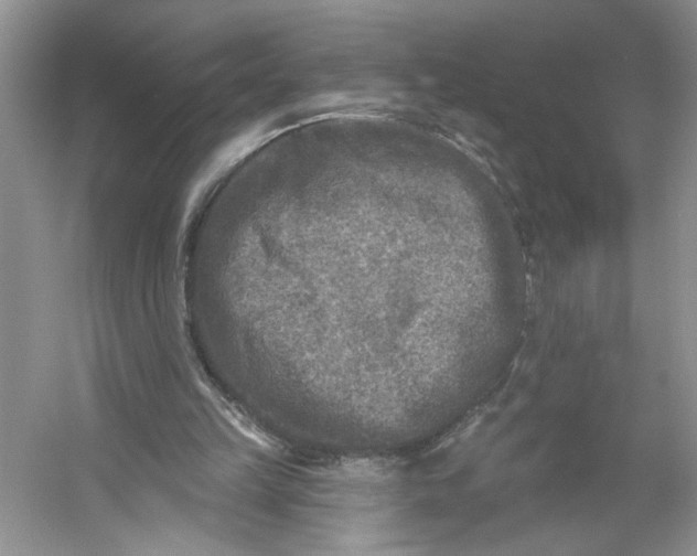 X0000053120149200507251732