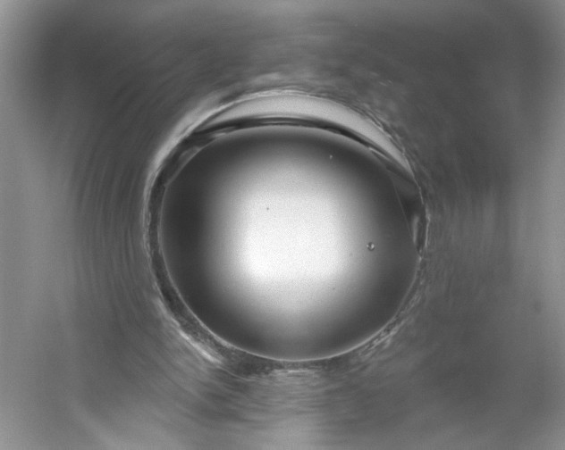 X0000053120150200507251732