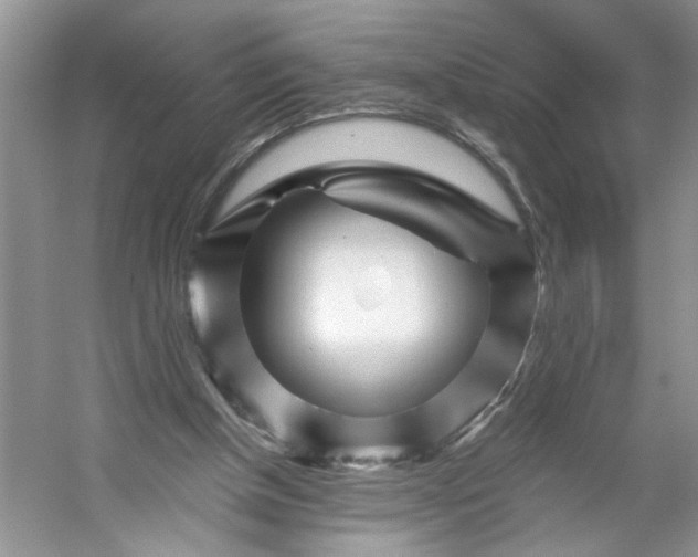 X0000053120154200507251732