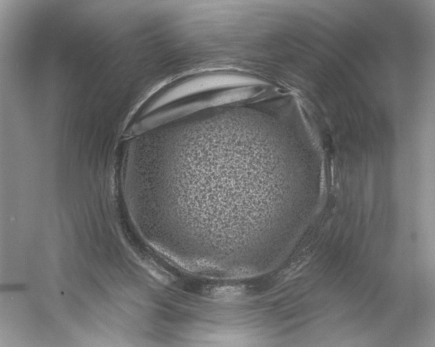 X0000053120156200507251732