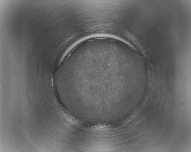 X0000053120161200507251732