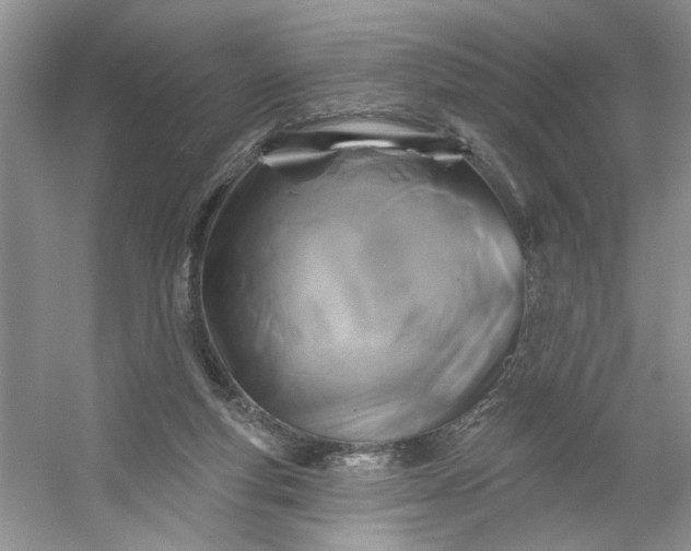 X0000053120163200507251732