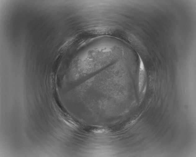 X0000053120165200507251732