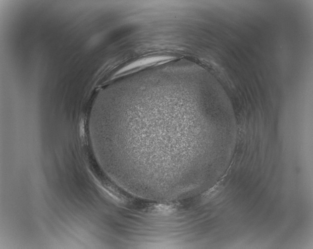 X0000053120166200507251732