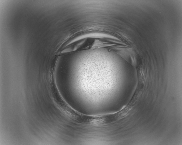 X0000053120168200507251732