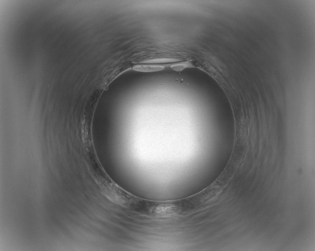 X0000053120173200507251732