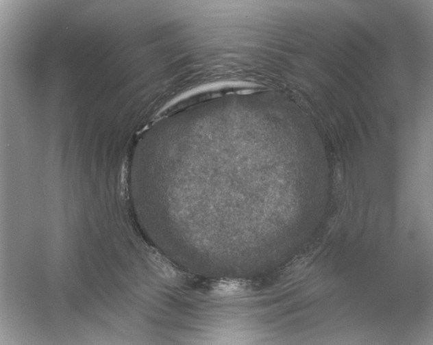 X0000053120177200507251733