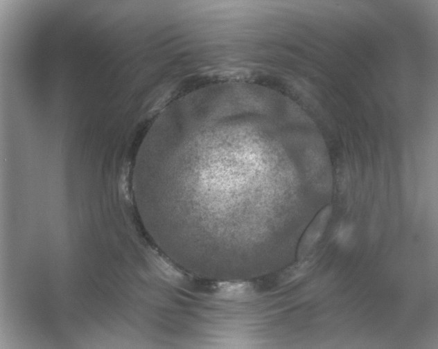 X0000053120185200507251733