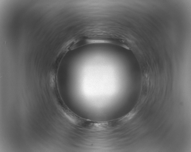 X0000053120188200507251733