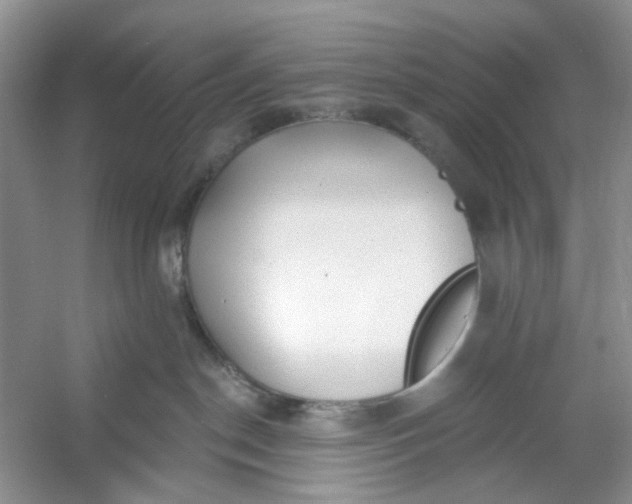 X0000053120190200507251733