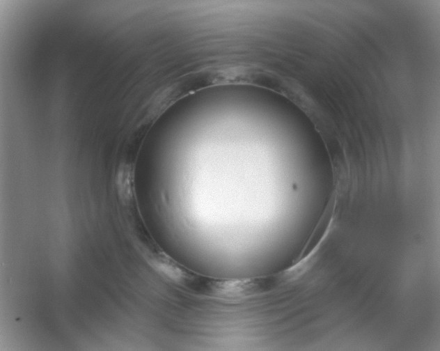 X0000053120191200507251733