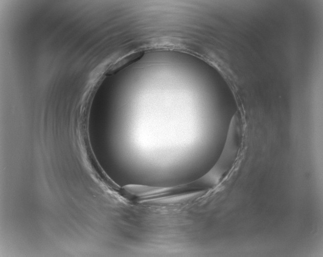 X0000053120193200507251732