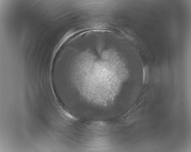 X0000053120195200507251732