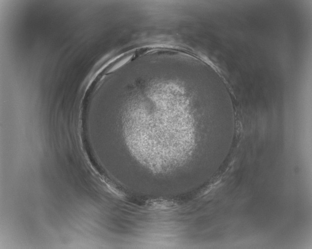 X0000053120199200507251732