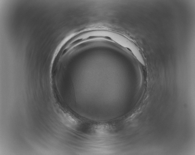 X0000053120200200507251732