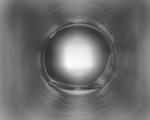 X0000053120201200507251732