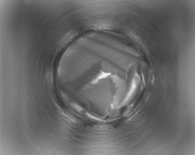 X0000053120202200507251732