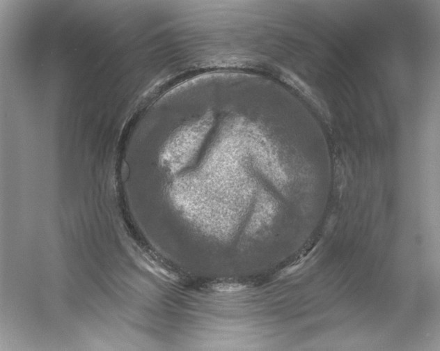 X0000053120203200507251732