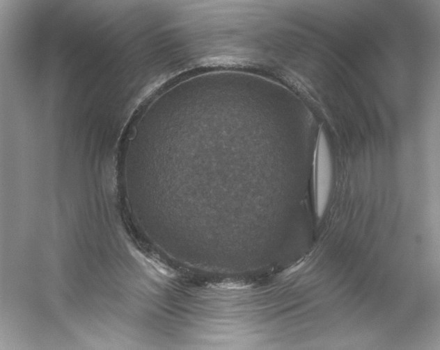 X0000053120204200507251732