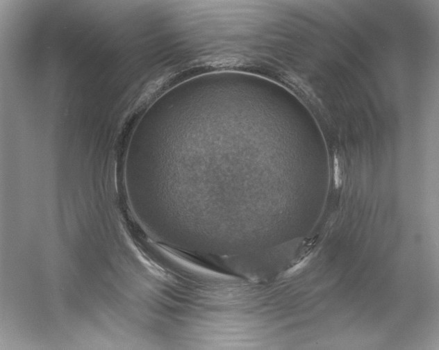 X0000053120205200507251732