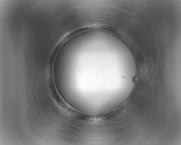 X0000053120208200507251732