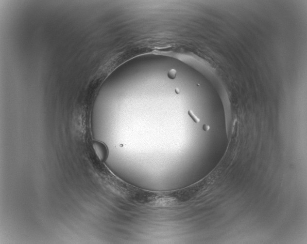 X0000053120210200507251732