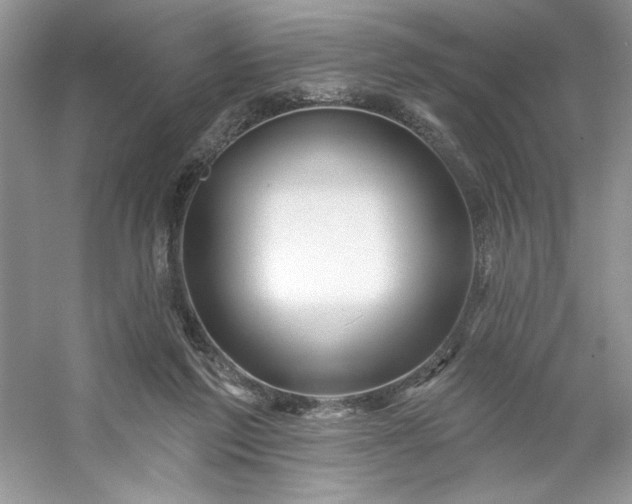 X0000053120213200507251732