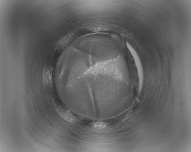 X0000053120214200507251732