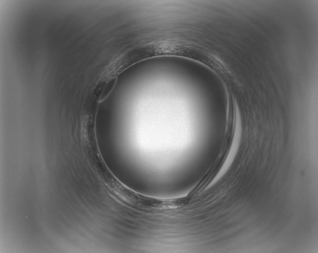 X0000053120217200507251732