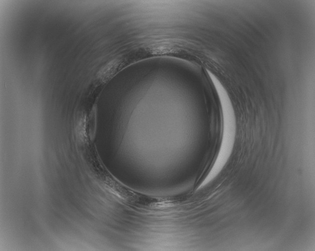 X0000053120219200507251732