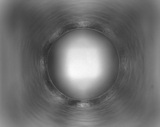 X0000053120220200507251732