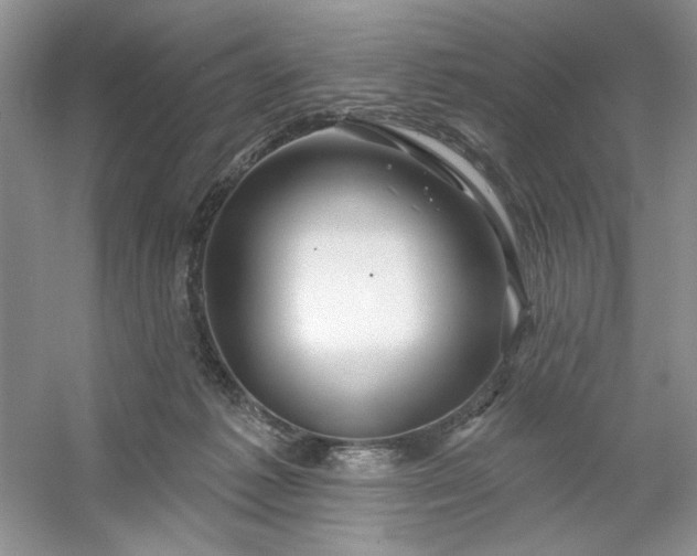 X0000053120221200507251732