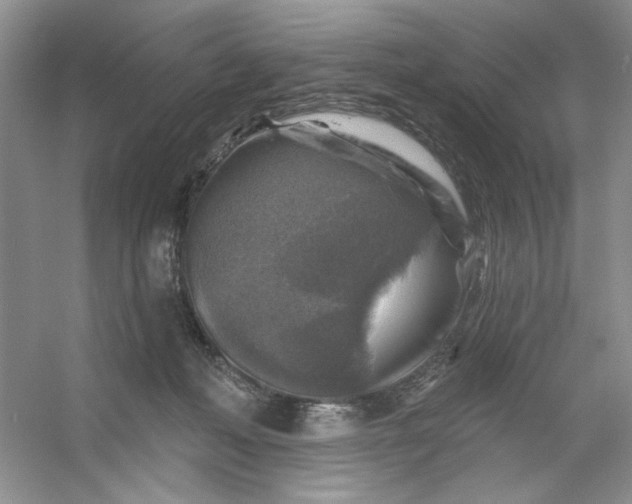 X0000053120222200507251731