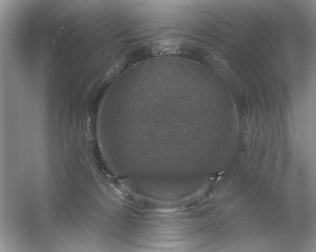 X0000053120224200507251731