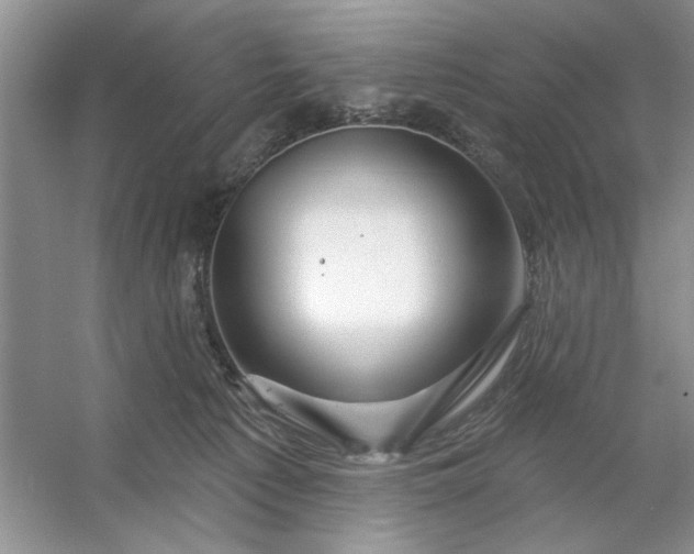 X0000053120225200507251731