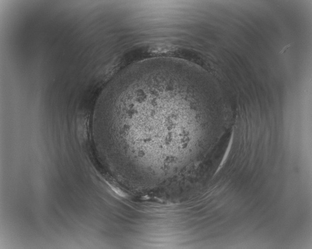 X0000053120227200507251731