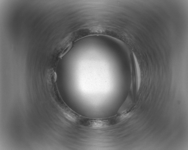 X0000053120229200507251731