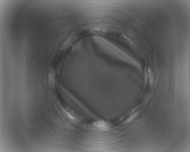 X0000053120231200507251731