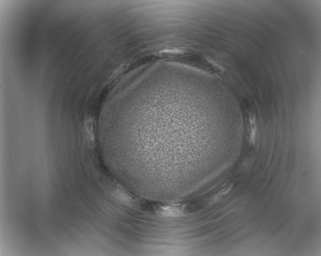 X0000053120232200507251731