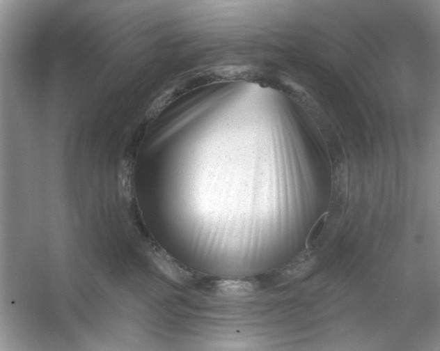 X0000053120234200507251731