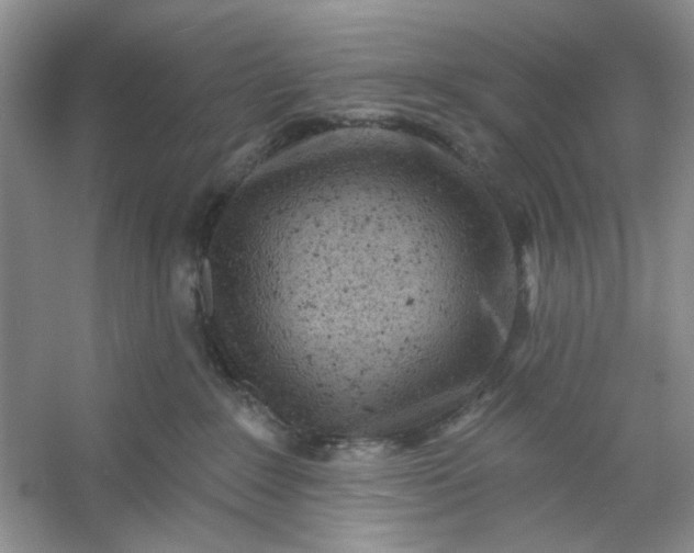 X0000053120235200507251731