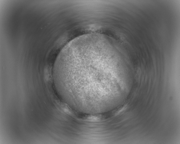 X0000053120236200507251731