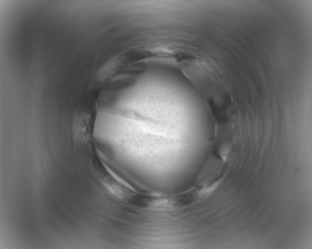 X0000053120237200507251731