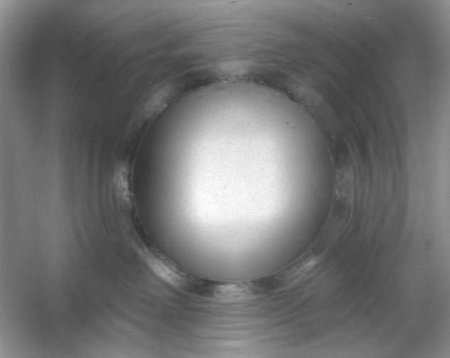 X0000053120238200507251731