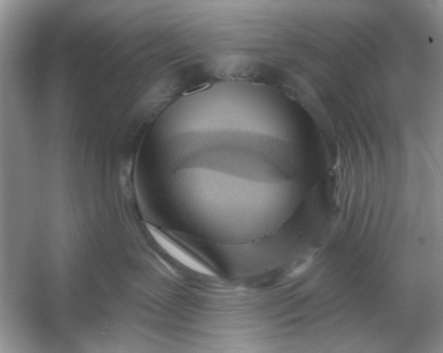 X0000053120239200507251731