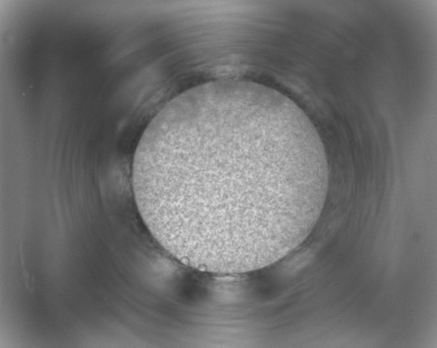 X0000053120240200507251731