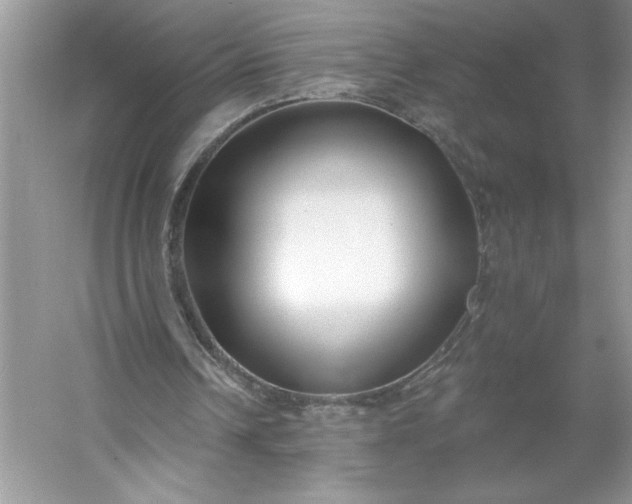 X0000053120242200507251730