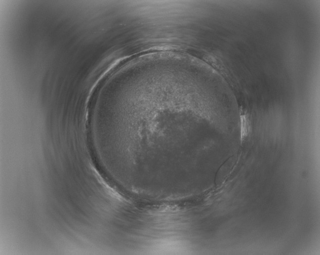 X0000053120243200507251730