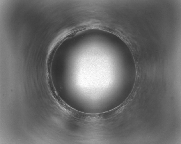 X0000053120245200507251730