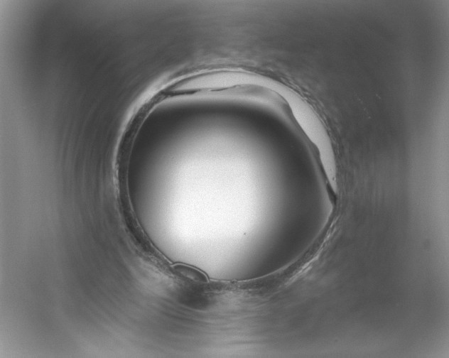 X0000053120246200507251730